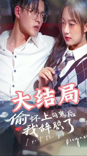 偷怀上司崽后，我辞职了全集