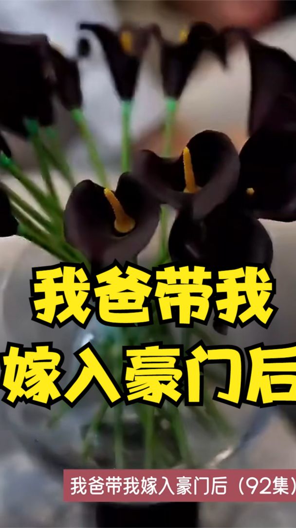 我爸带我嫁入豪门后全集