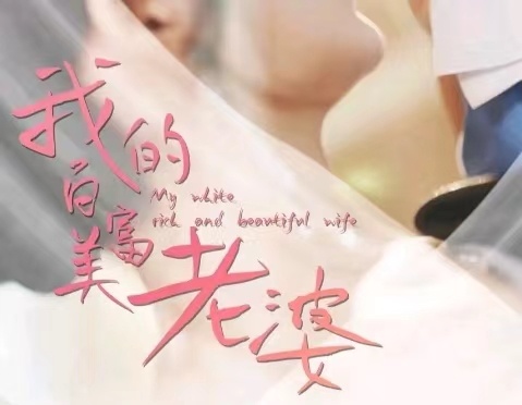 我的25岁白富美老婆全集