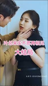 叶总来生不愿再相见全集