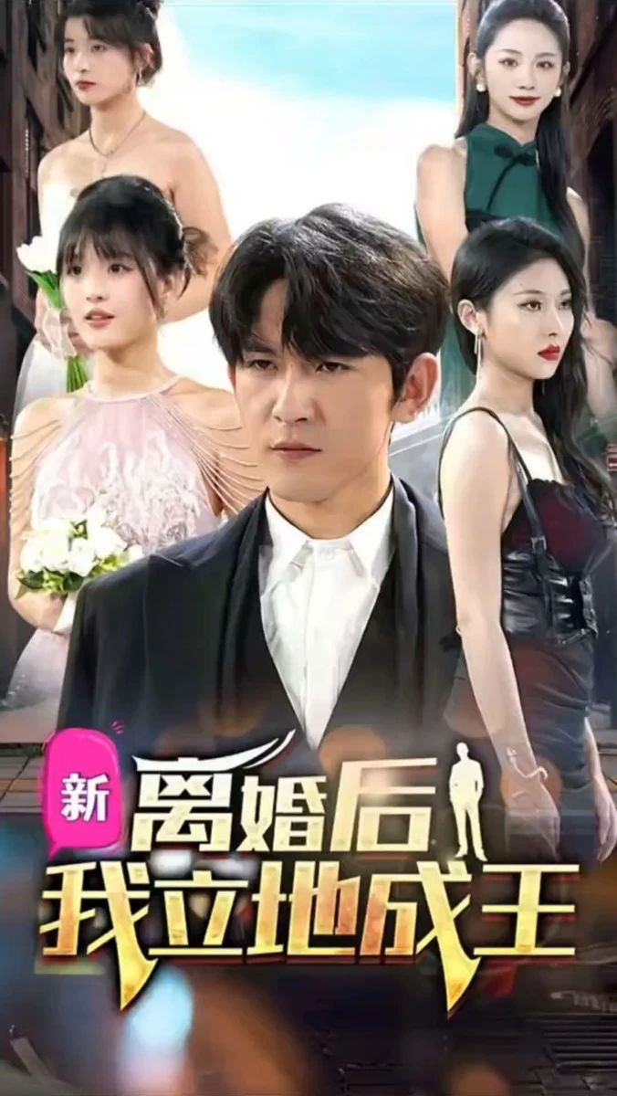 离婚后我立地成王全集