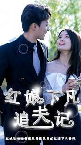 红娘下凡追夫记全集