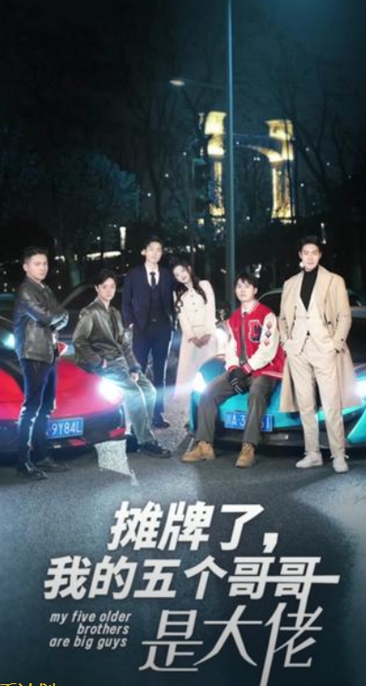 摊牌了我的五个哥哥是大佬全集