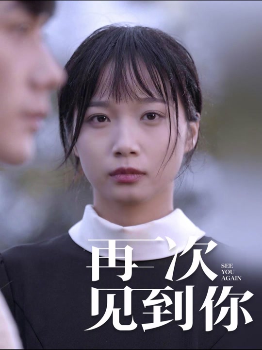 再次见到你全集