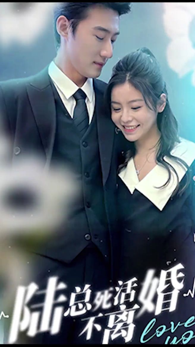 陆总死活不离婚全集