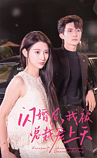 闪婚后我竟跃升成女总裁全集