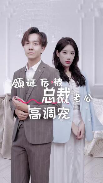 领证后，被总裁老公高调宠全集