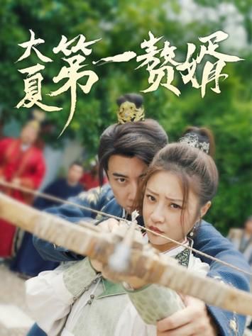 大夏第一赘婿全集