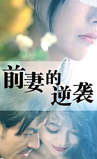 前妻的逆袭全集