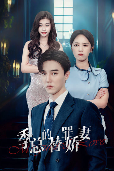 季总的替罪娇妻全集