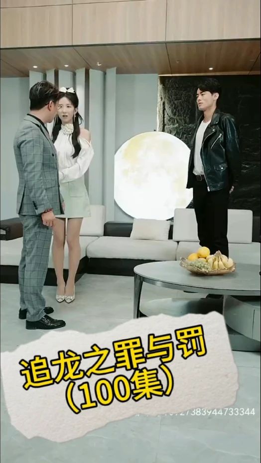 追龙之罪与罚全集