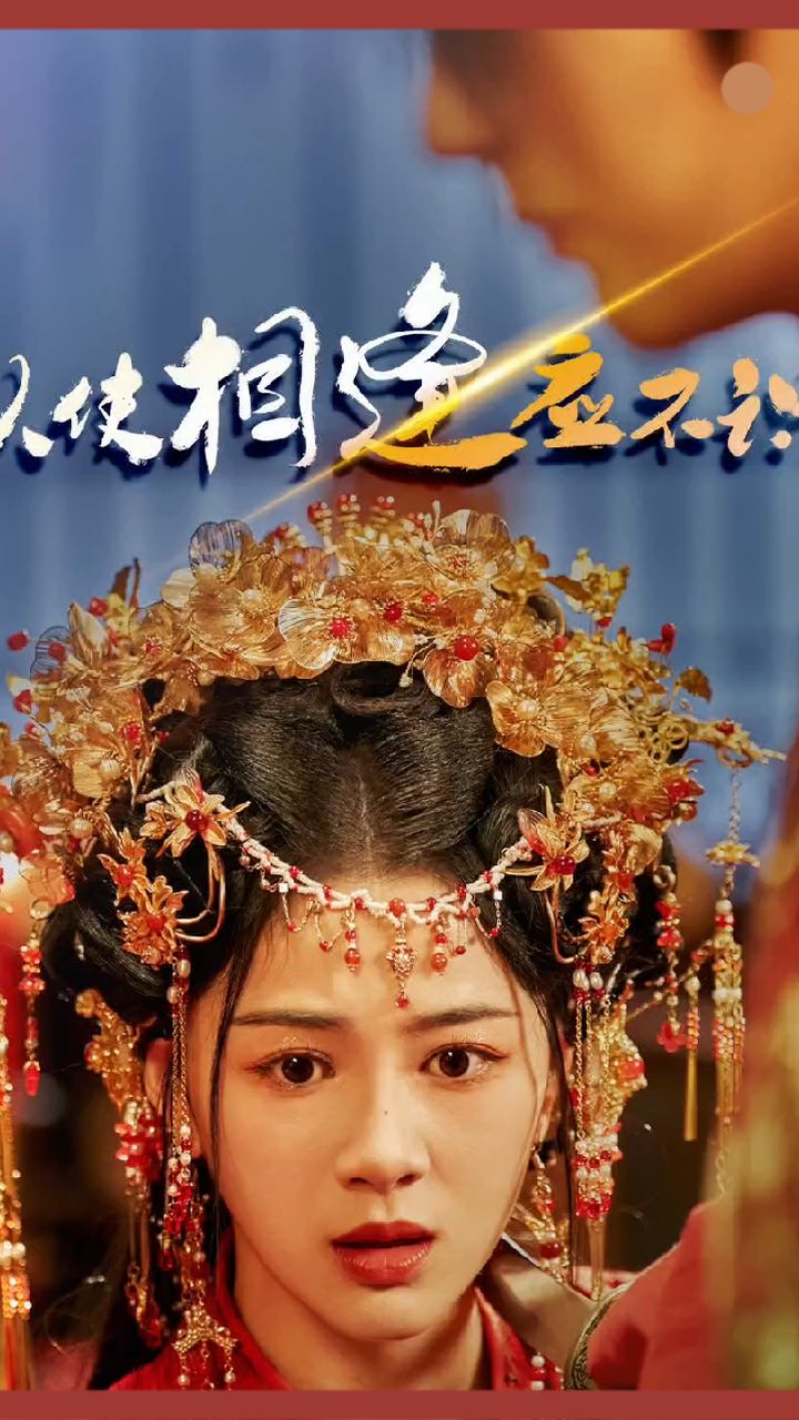 纵使相逢应不识全集