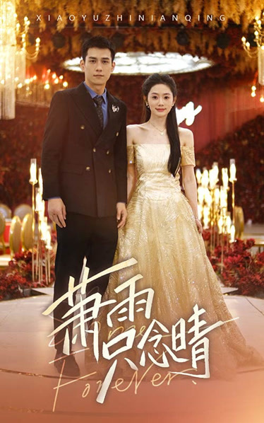 萧雨只念晴全集