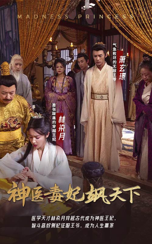 神医毒妃飒天下全集