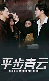 平步青云，离婚后我走上人生巅峰全集