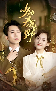 少帅夫人有点野全集