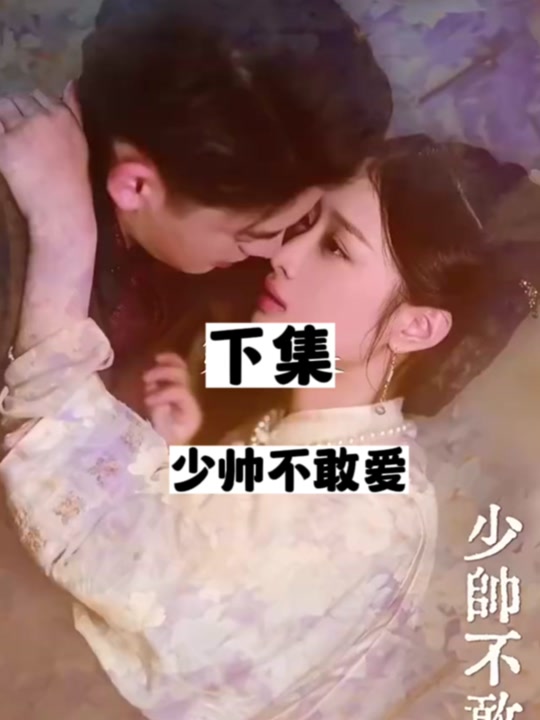少帅不敢爱全集