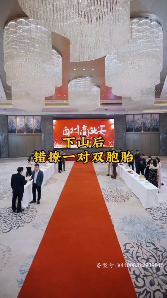 下山后，错撩一对双胞胎全集