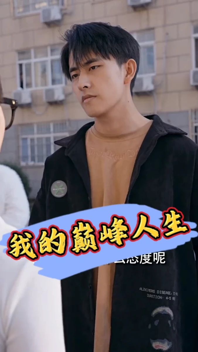 我的巅峰人生全集