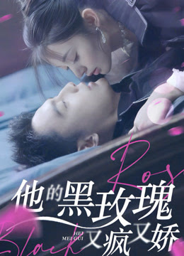 他的黑玫瑰又疯又娇全集