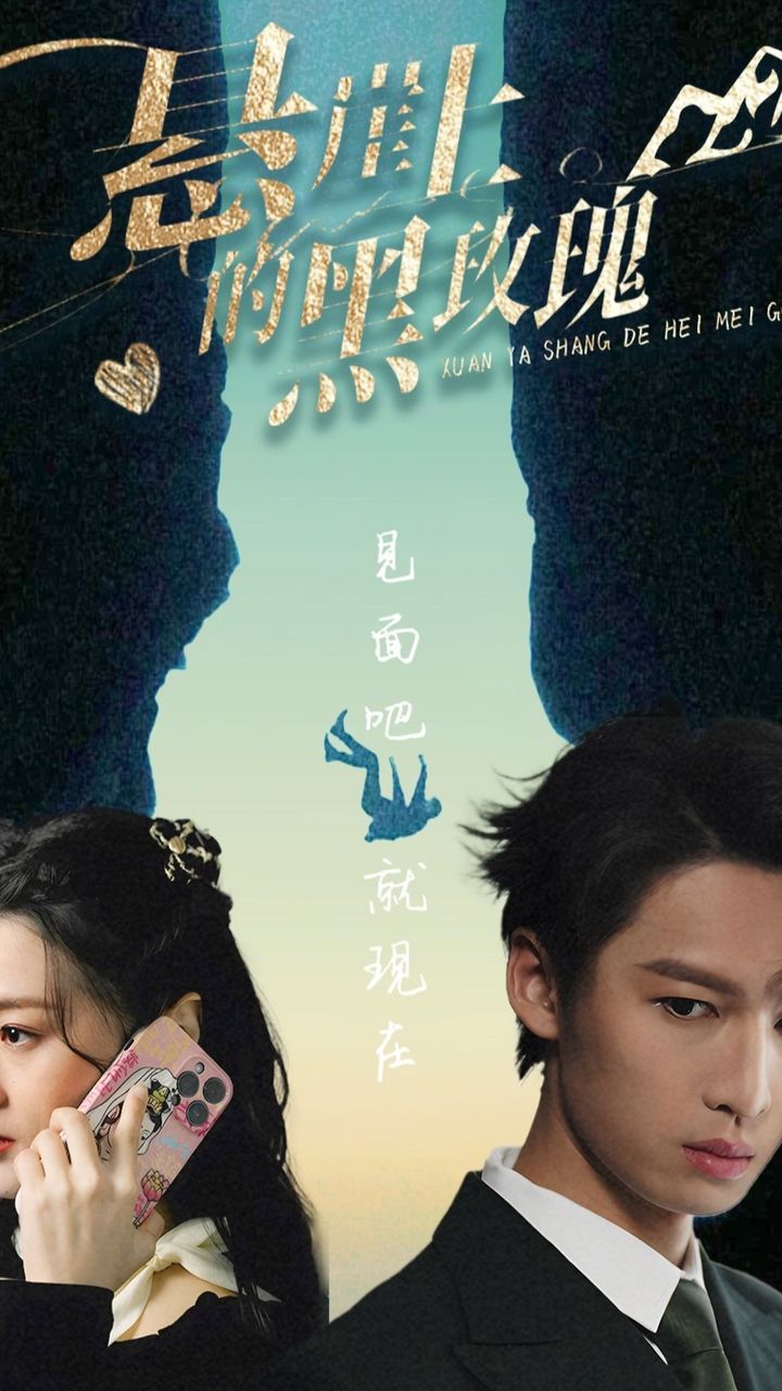 悬崖上的黑玫瑰全集