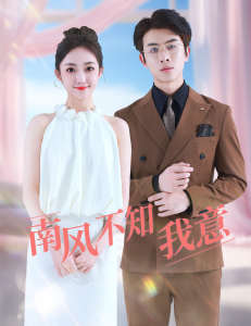 南风不知我意全集