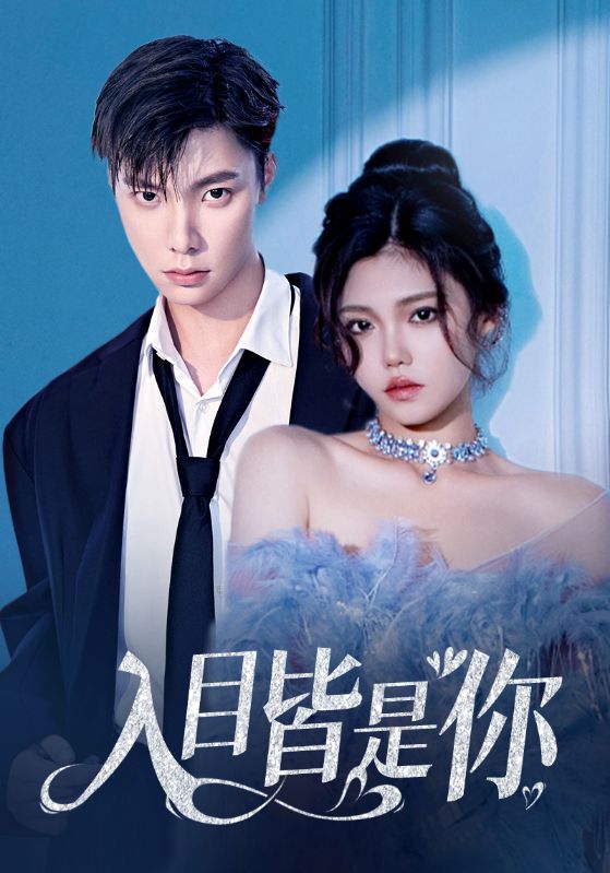 入目皆是你全集