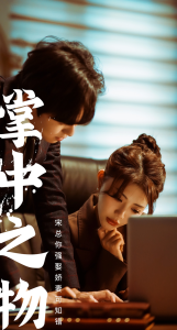 掌中之物：宋总娶娇妻可知错全集