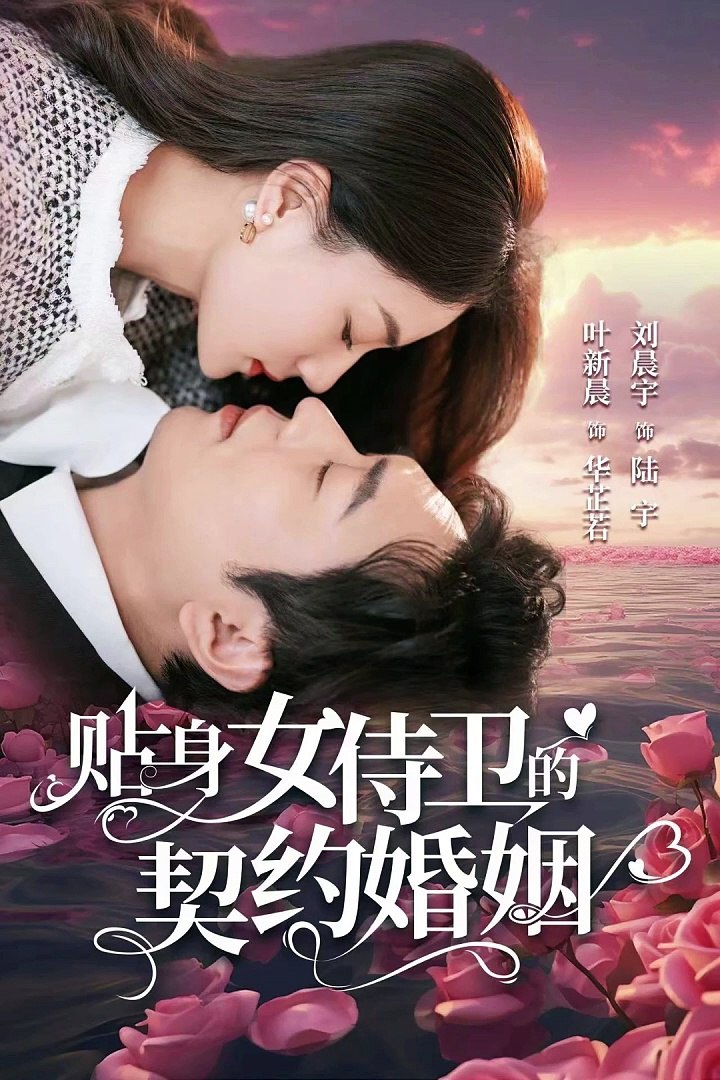 贴身女侍卫的契约婚姻全集