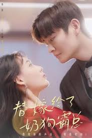 替嫁给了奶狗霸总全集