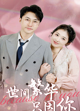 世间繁华只因你全集