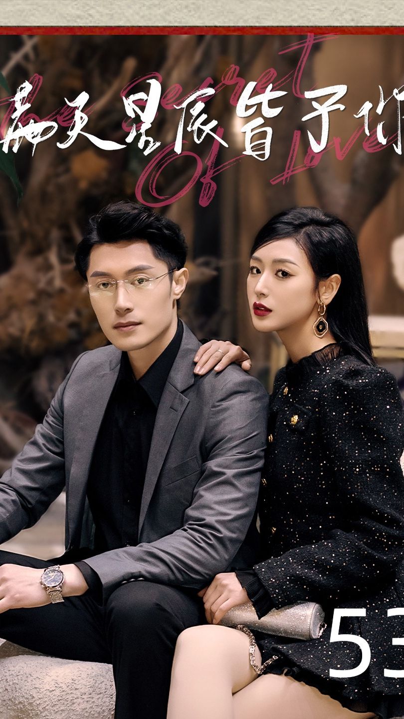 满天星辰皆于你全集