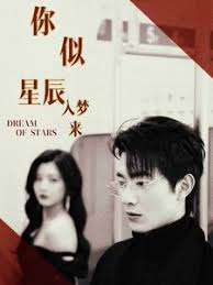 你似星辰入梦来全集