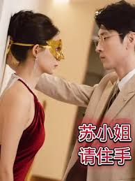 苏小姐请住手全集
