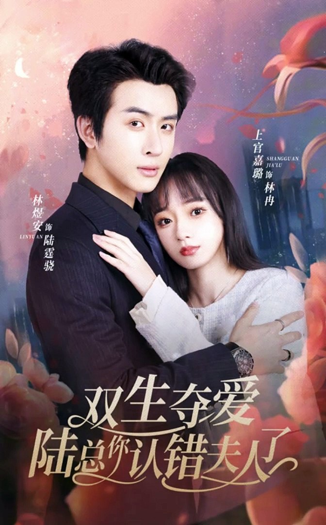 双生夺爱，陆总你认错夫人了全集