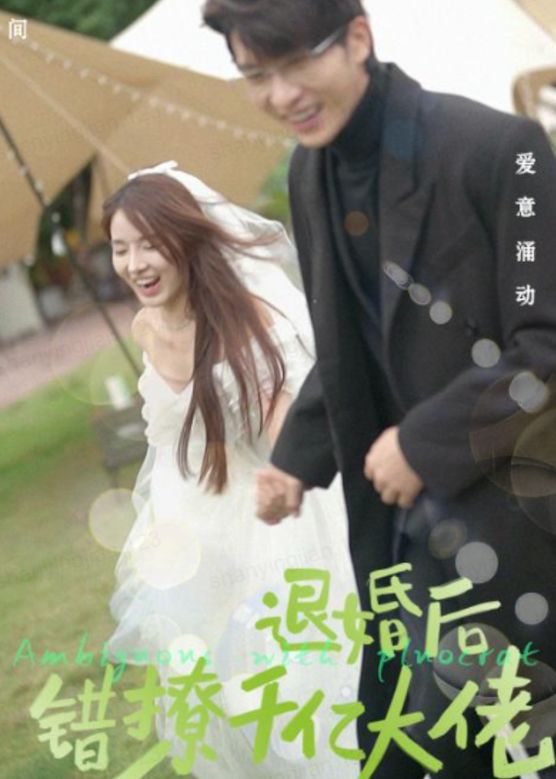 退婚后，错撩千亿大佬全集