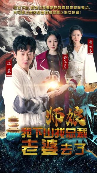 师娘，我下山找总裁老婆了全集