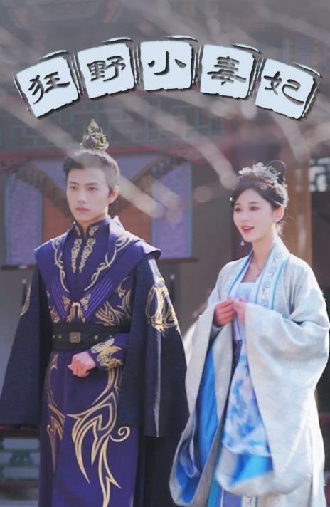 狂野小毒妃全集