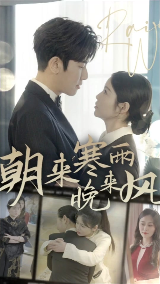 朝来寒雨晚来风全集