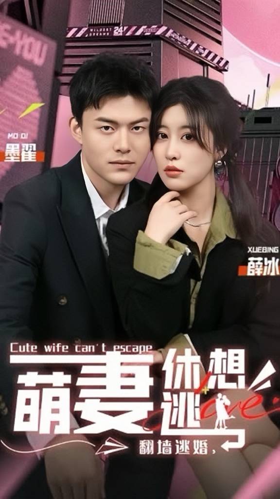 翻墙逃婚，萌妻休想逃全集
