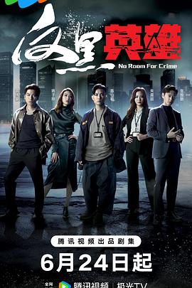 反黑英雄国语全集