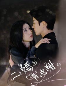 二婚有点甜全集