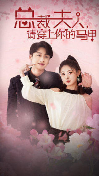 总裁夫人，请穿上你的马甲全集