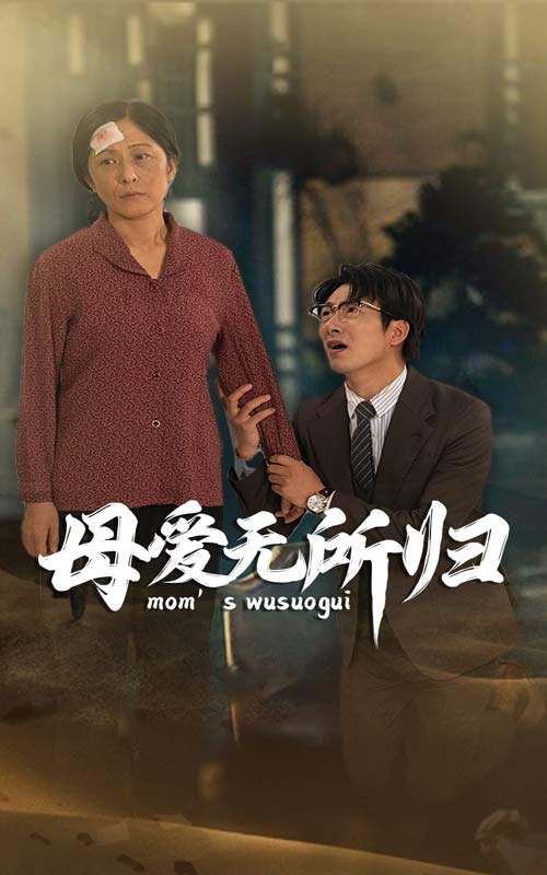 母爱无所归全集