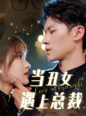 当丑女遇上总裁全集