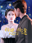 相思恰相逢全集
