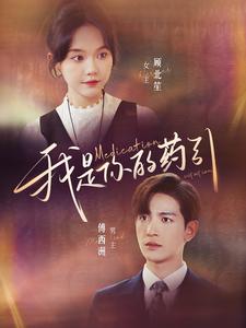 我是你的药引全集