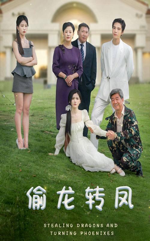 偷龙转凤全集