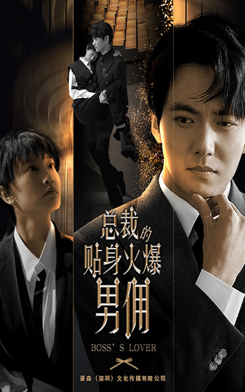 总裁的贴身火爆男佣全集