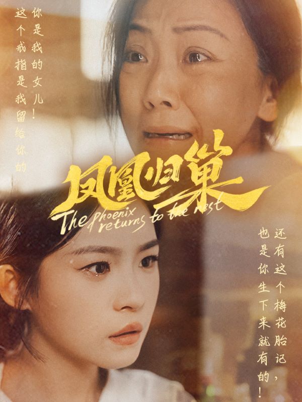 凤凰归巢全集